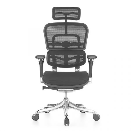 Ergohuman Luxury Mesh Office Chair