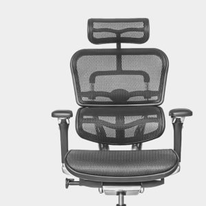 View All Ergohuman Office Chairs