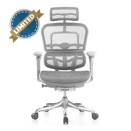Ergohuman Luxury Grey Mesh Chair