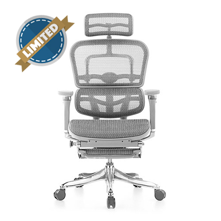Ergohuman Luxury Grey Mesh Chair with Legrest