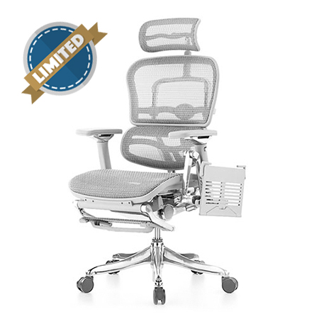Ergohuman Luxury Grey Mesh Chair with Laptop