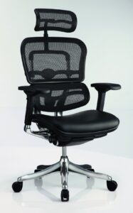 Ergohuman Elite ergonomic chair in mesh and leather