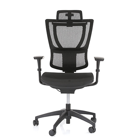 Ergohuman IOOB executive fit chair front view