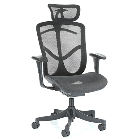 Brant ergonomic office chair with headrest by Ergohuman right quarter view
