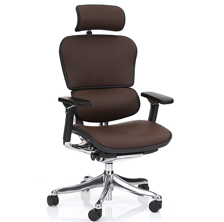 Ergohuman dark brown leather ergonomic chair right quarter view